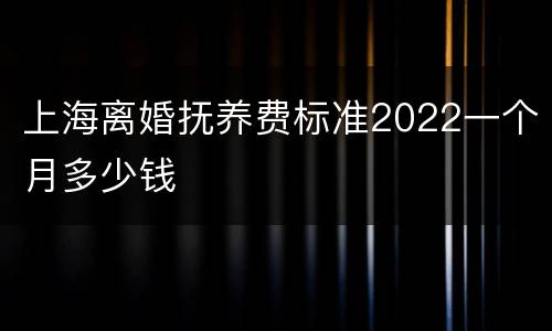 上海离婚抚养费标准2022一个月多少钱