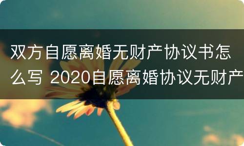 双方自愿离婚无财产协议书怎么写 2020自愿离婚协议无财产