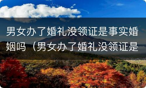 男女办了婚礼没领证是事实婚姻吗（男女办了婚礼没领证是事实婚姻吗）