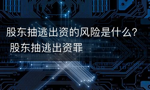 股东抽逃出资的风险是什么？ 股东抽逃出资罪