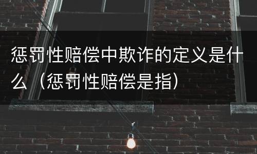 惩罚性赔偿中欺诈的定义是什么（惩罚性赔偿是指）