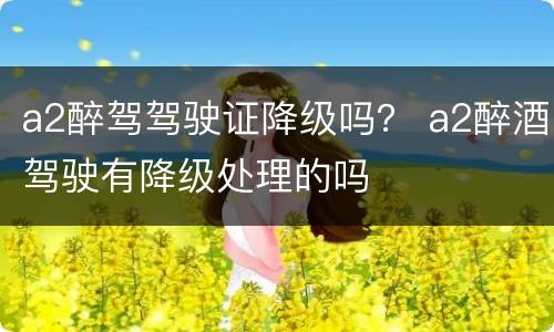 a2醉驾驾驶证降级吗？ a2醉酒驾驶有降级处理的吗