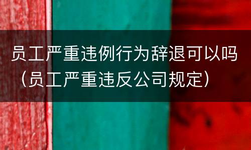 员工严重违例行为辞退可以吗（员工严重违反公司规定）