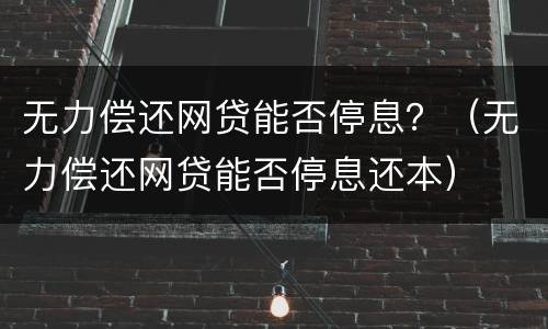 无力偿还网贷能否停息？（无力偿还网贷能否停息还本）