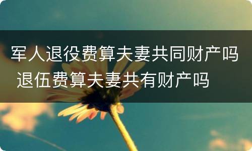 军人退役费算夫妻共同财产吗 退伍费算夫妻共有财产吗