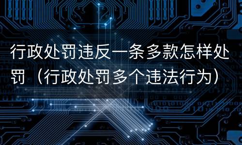行政处罚违反一条多款怎样处罚（行政处罚多个违法行为）