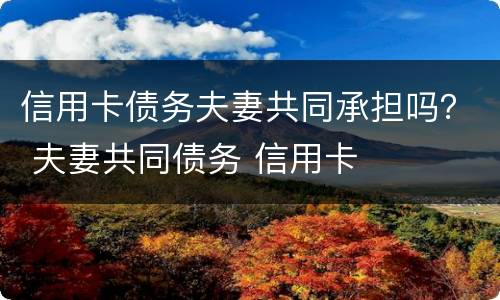 信用卡债务夫妻共同承担吗？ 夫妻共同债务 信用卡