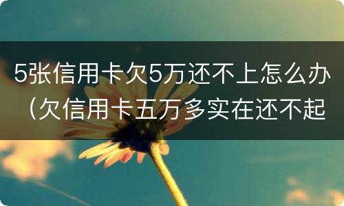 5张信用卡欠5万还不上怎么办（欠信用卡五万多实在还不起咋办）
