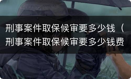 刑事案件取保候审要多少钱（刑事案件取保候审要多少钱费用）
