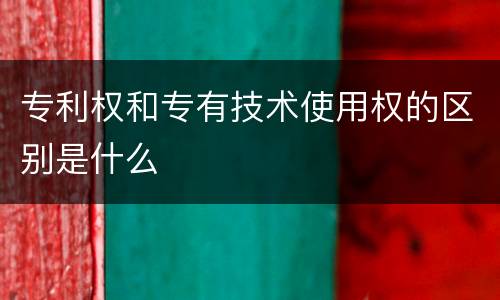 专利权和专有技术使用权的区别是什么