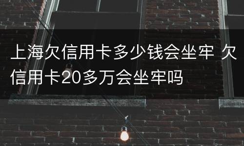 上海欠信用卡多少钱会坐牢 欠信用卡20多万会坐牢吗