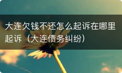 大连欠钱不还怎么起诉在哪里起诉（大连债务纠纷）