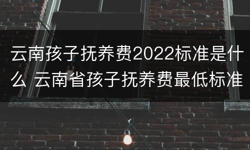云南孩子抚养费2022标准是什么 云南省孩子抚养费最低标准是多少