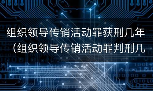 组织领导传销活动罪获刑几年（组织领导传销活动罪判刑几年）