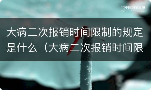 大病二次报销时间限制的规定是什么（大病二次报销时间限制的规定是什么呢）