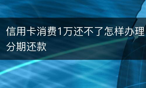 信用卡消费1万还不了怎样办理分期还款