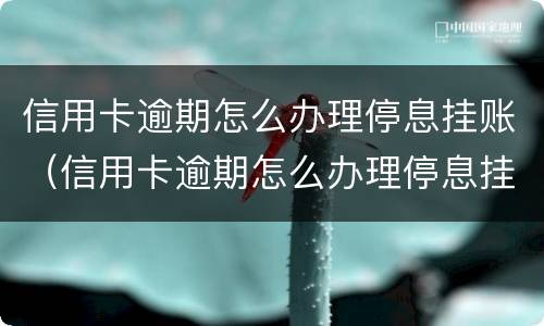 信用卡逾期怎么办理停息挂账（信用卡逾期怎么办理停息挂账正规公司）