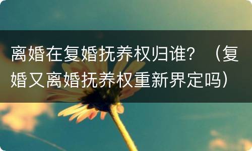 离婚在复婚抚养权归谁？（复婚又离婚抚养权重新界定吗）