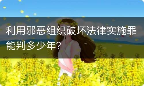 利用邪恶组织破坏法律实施罪能判多少年？