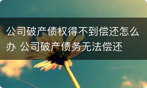 公司破产债权得不到偿还怎么办 公司破产债务无法偿还