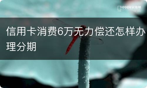信用卡消费6万无力偿还怎样办理分期