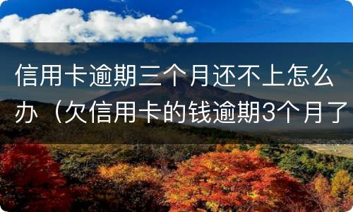 信用卡逾期三个月还不上怎么办（欠信用卡的钱逾期3个月了还不上怎么办）