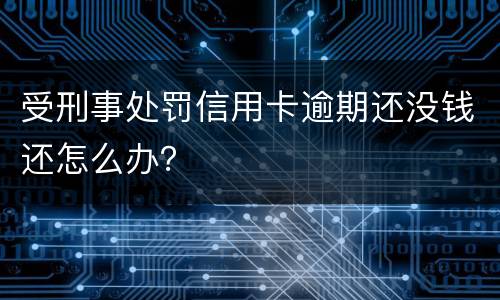 受刑事处罚信用卡逾期还没钱还怎么办？