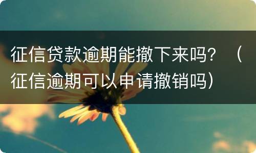 征信贷款逾期能撤下来吗？（征信逾期可以申请撤销吗）