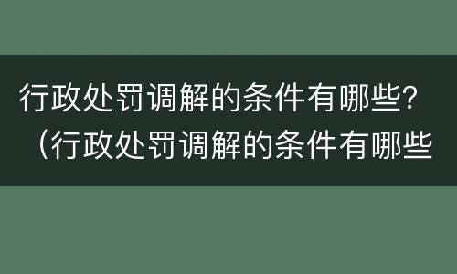 行政处罚调解的条件有哪些？（行政处罚调解的条件有哪些要求）
