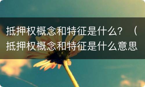 抵押权概念和特征是什么？（抵押权概念和特征是什么意思）