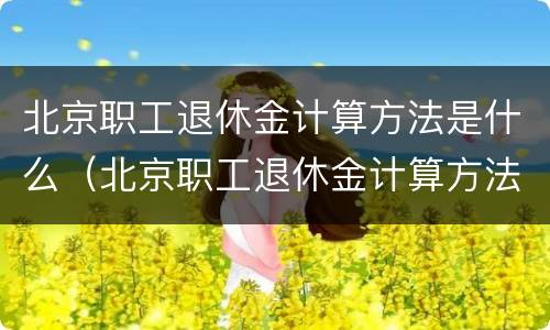 北京职工退休金计算方法是什么（北京职工退休金计算方法是什么呢）