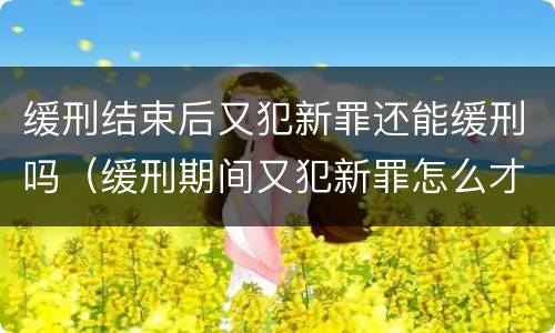 缓刑结束后又犯新罪还能缓刑吗（缓刑期间又犯新罪怎么才能再次缓刑）