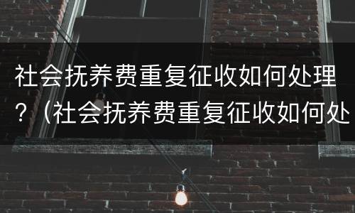 社会抚养费重复征收如何处理?（社会抚养费重复征收如何处理呢）