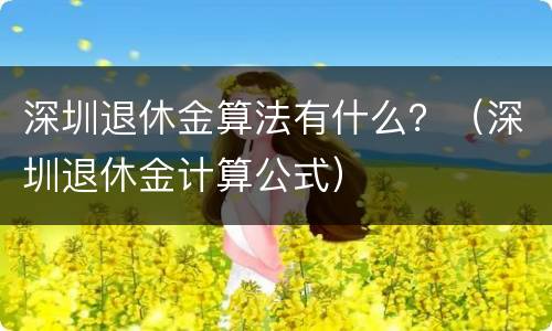 深圳退休金算法有什么？（深圳退休金计算公式）