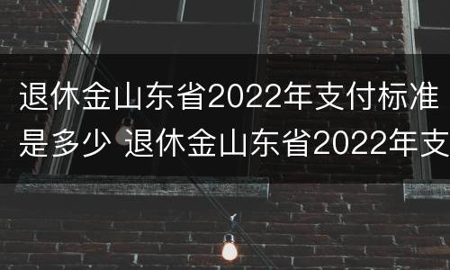 退休金山东省2022年支付标准是多少 退休金山东省2022年支付标准是多少钱
