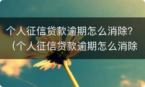 个人征信贷款逾期怎么消除？（个人征信贷款逾期怎么消除征信记录）