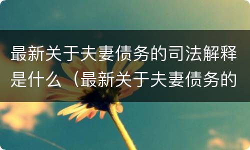 最新关于夫妻债务的司法解释是什么（最新关于夫妻债务的司法解释是什么时候实施）