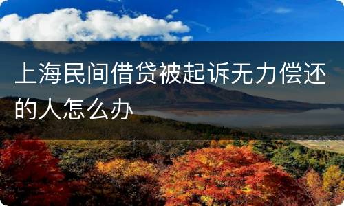 上海民间借贷被起诉无力偿还的人怎么办