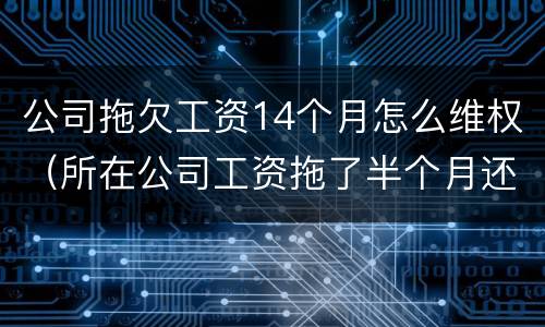 公司拖欠工资14个月怎么维权（所在公司工资拖了半个月还不发怎么办?）