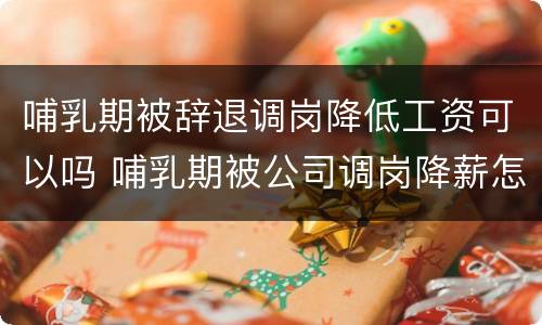 哺乳期被辞退调岗降低工资可以吗 哺乳期被公司调岗降薪怎么办