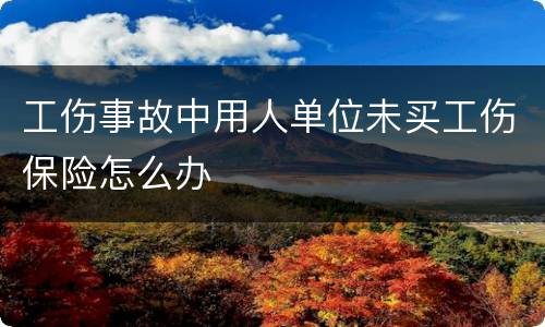 工伤事故中用人单位未买工伤保险怎么办