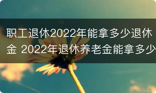 职工退休2022年能拿多少退休金 2022年退休养老金能拿多少