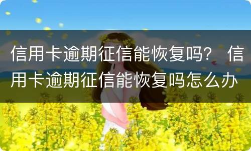 信用卡逾期征信能恢复吗？ 信用卡逾期征信能恢复吗怎么办