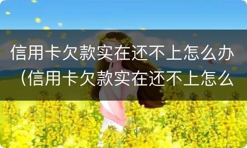 信用卡欠款实在还不上怎么办（信用卡欠款实在还不上怎么办呢）