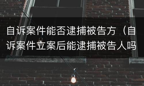 自诉案件能否逮捕被告方（自诉案件立案后能逮捕被告人吗）