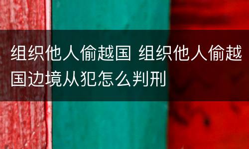 组织他人偷越国 组织他人偷越国边境从犯怎么判刑