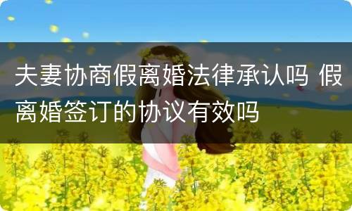 夫妻协商假离婚法律承认吗 假离婚签订的协议有效吗