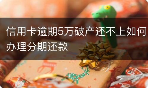 信用卡逾期5万破产还不上如何办理分期还款