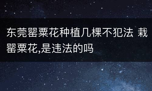 东莞罂粟花种植几棵不犯法 栽罂粟花,是违法的吗