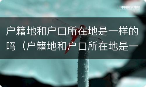 户籍地和户口所在地是一样的吗（户籍地和户口所在地是一样的吗怎么填）